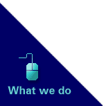 What we do