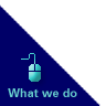 What we do